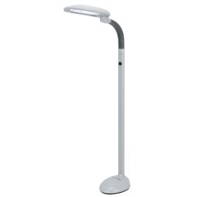 EasyEye Energy Saving Floor Lamp (2-tube)