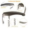 5 Pcs Wine Bottle Opener Set Wine Accessories Kit with Corkscrew Pourer Stopper Vacuum Pump for Home Use Sommeliers Waiters Bartenders - Opener Set